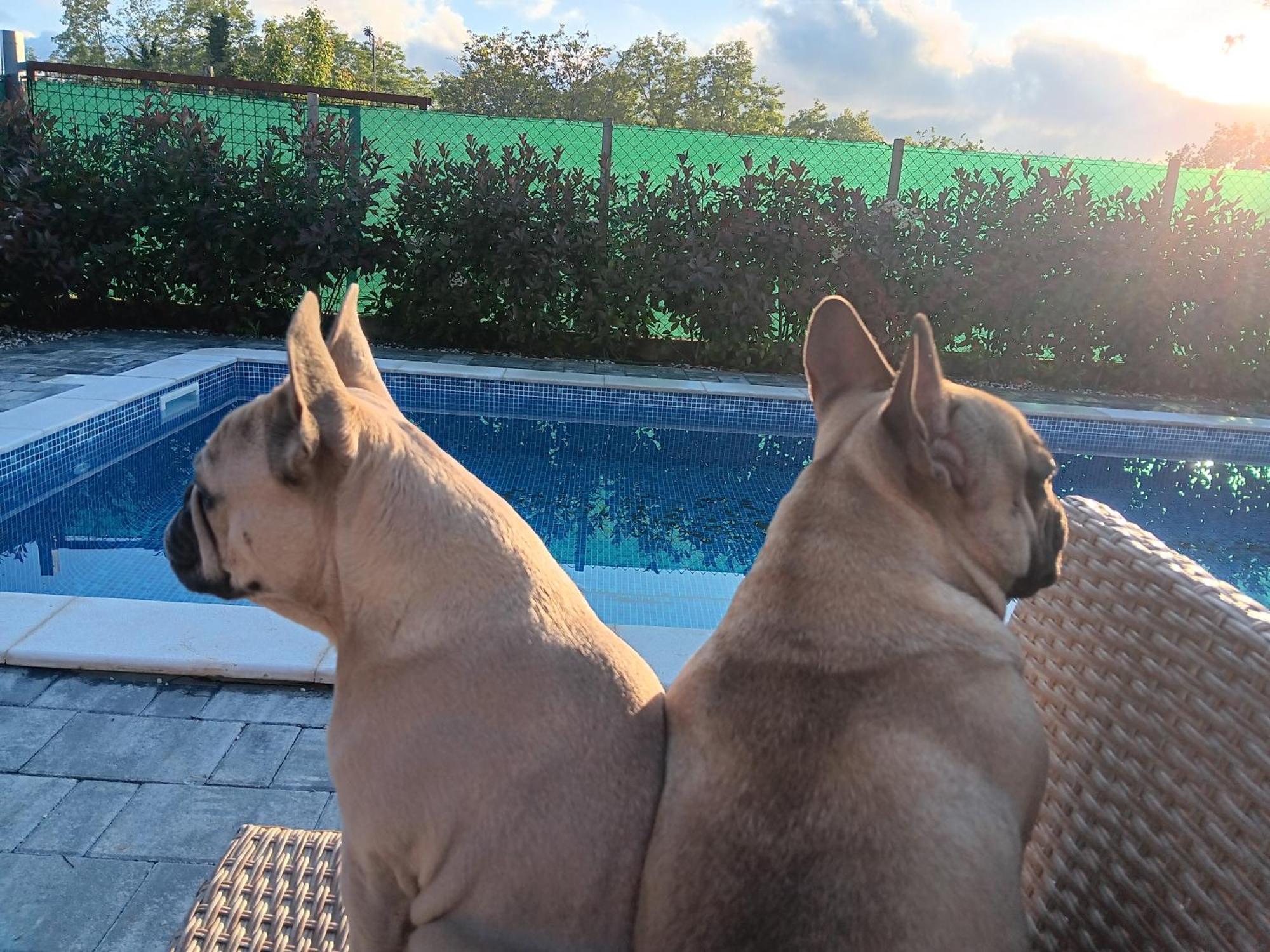 Kuca Za Odmor Capella Villa Stuti Exterior foto